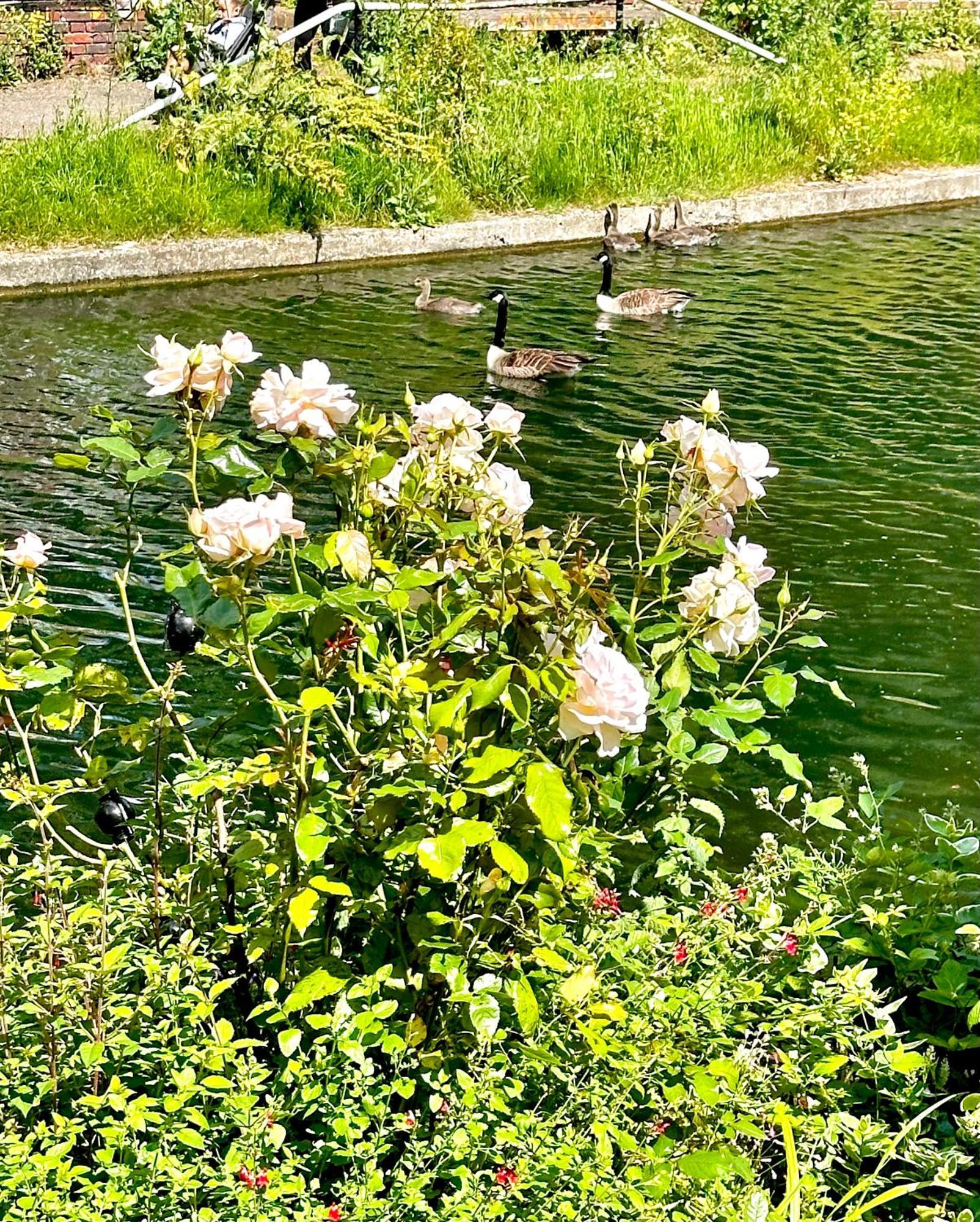 Amazing Location - City Of London- 2 Bedroom Stunning Canal View House With Private Garden,Parking & Balcony Exteriér fotografie